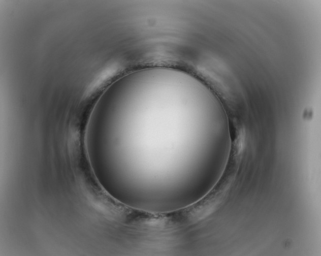 X0000092070306200709191209