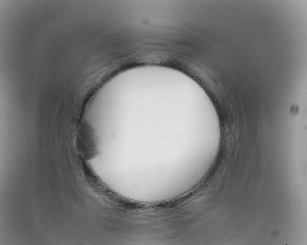 X0000092070307200709191209