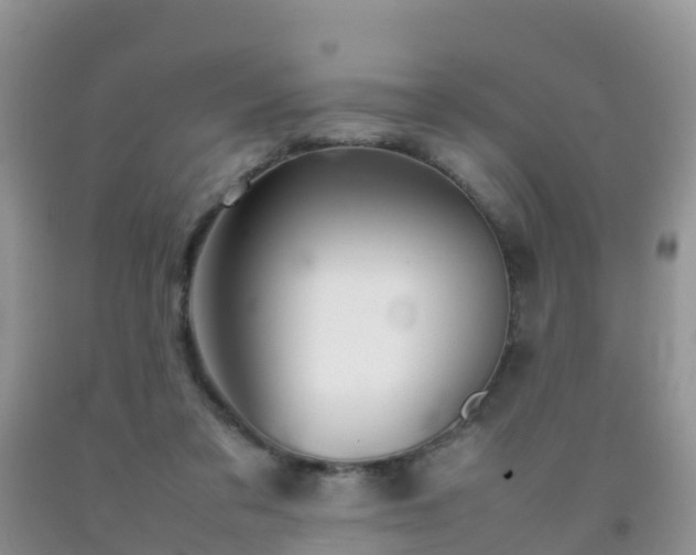 X0000092070309200709191209