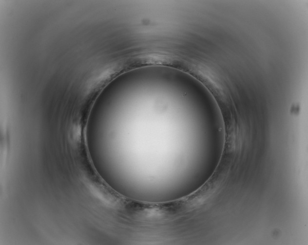 X0000092070310200709191209