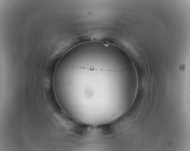 X0000092070311200709191209