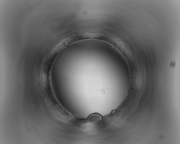 X0000092070312200709191209