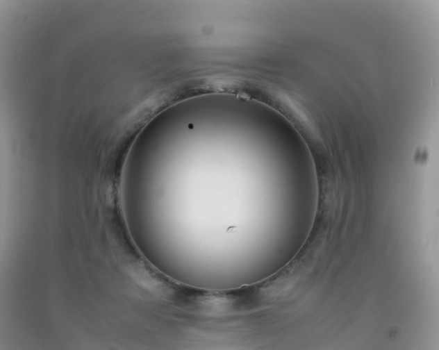 X0000092070313200709191209
