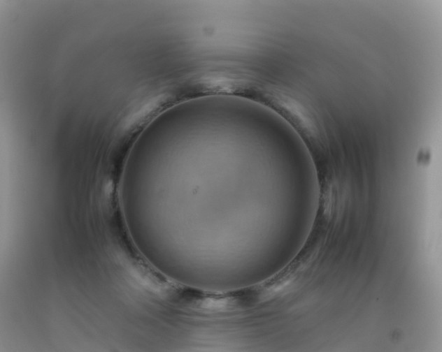 X0000092070314200709191209