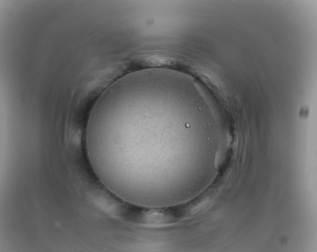 X0000092070315200709191209