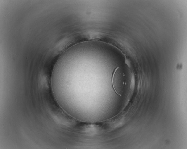 X0000092070316200709191209