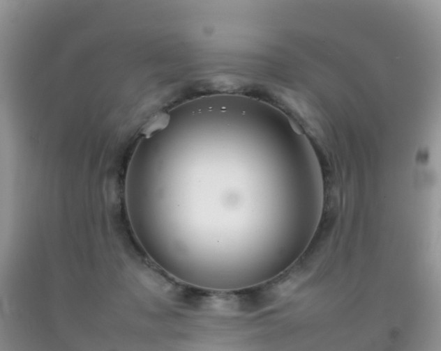 X0000092070317200709191209
