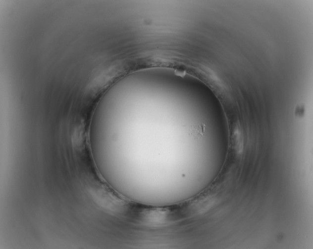 X0000092070318200709191209