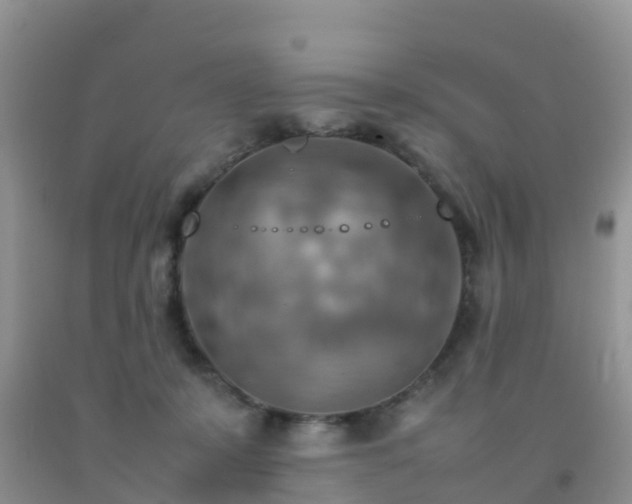 X0000092070319200709191209