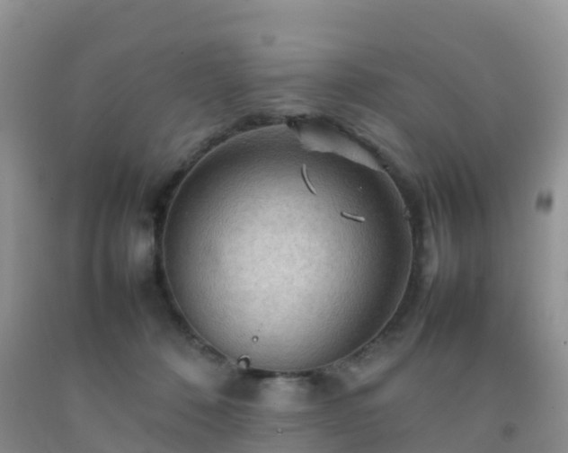 X0000092070320200709191209