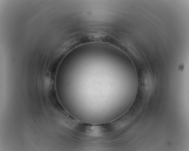 X0000092070324200709191209