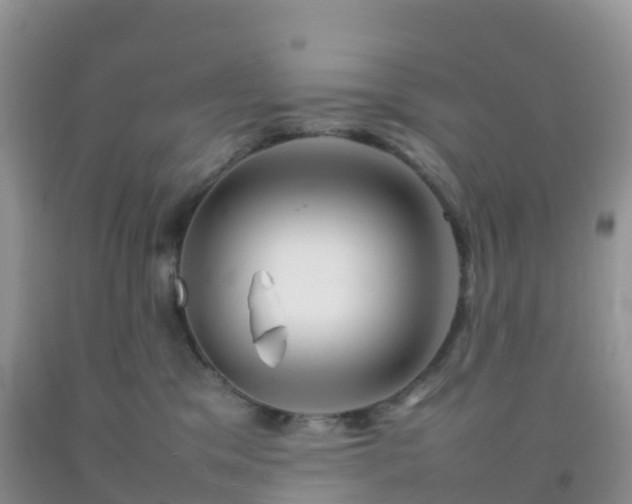 X0000092070329200709191209
