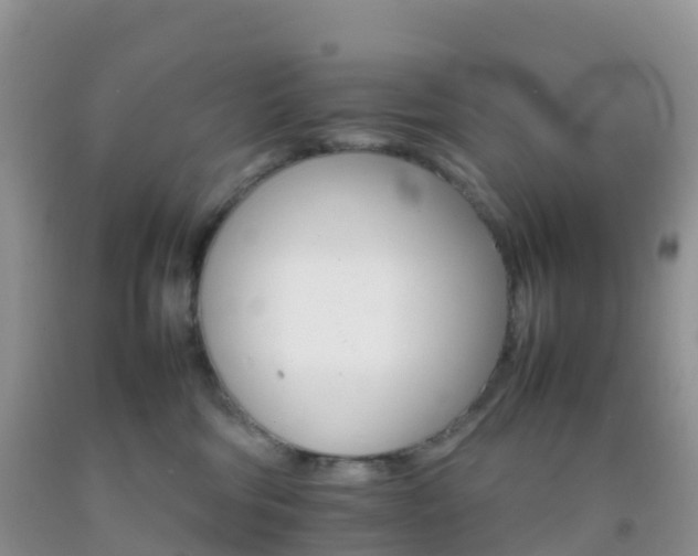 X0000092070330200709191209