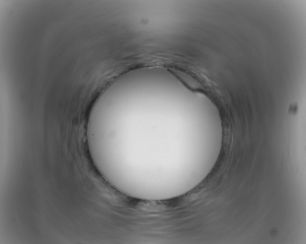 X0000092070331200709191209