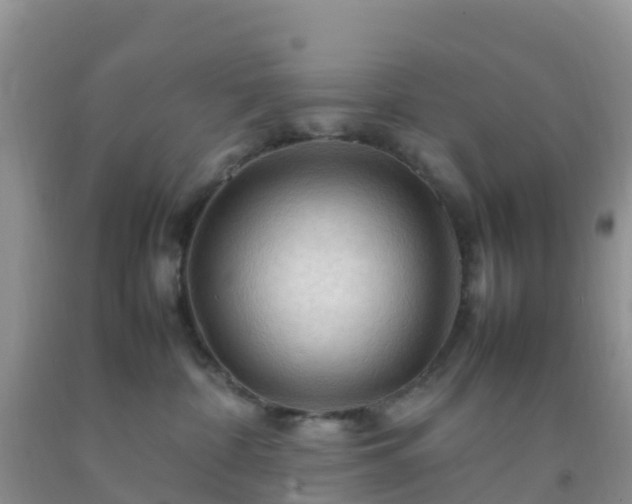 X0000092070332200709191209