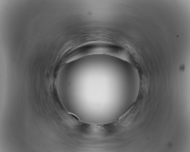 X0000092070333200709191209