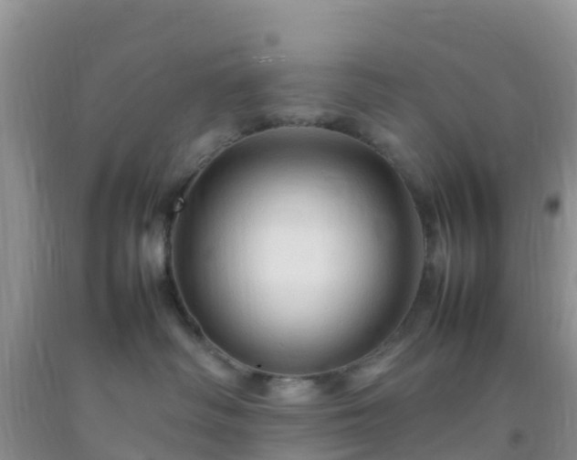 X0000092070334200709191209