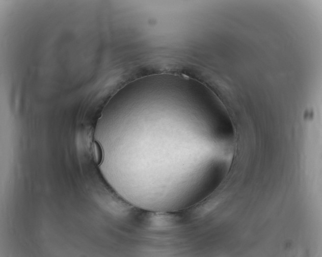 X0000092070336200709191209