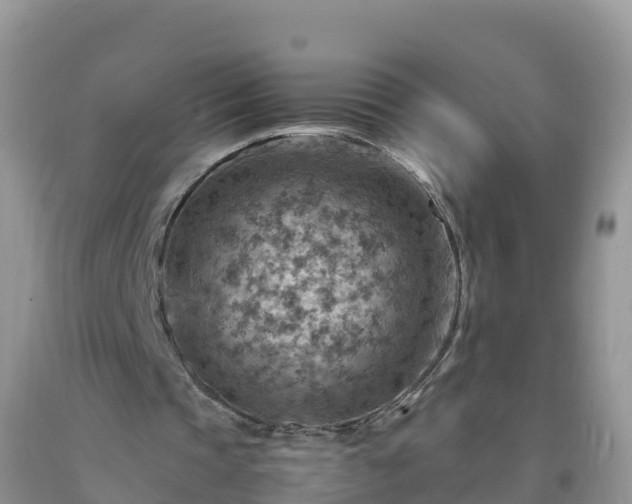 X0000092070337200709191208