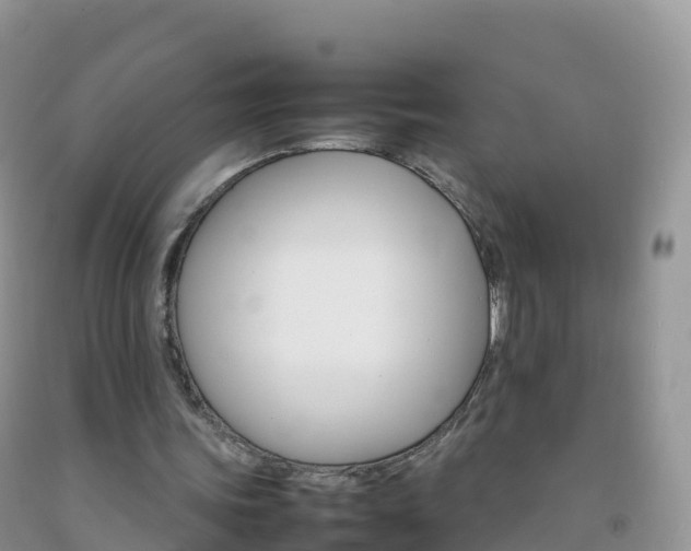 X0000092070339200709191208