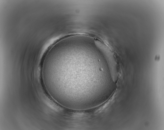 X0000092070342200709191208