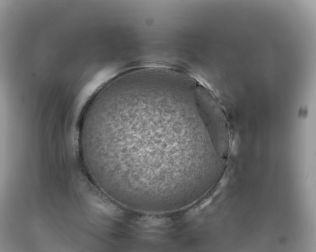X0000092070343200709191208