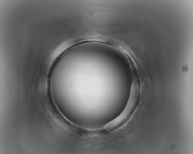 X0000092070344200709191208