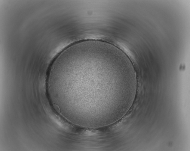 X0000092070346200709191208