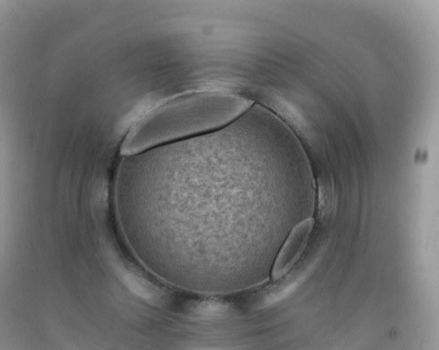 X0000092070348200709191208