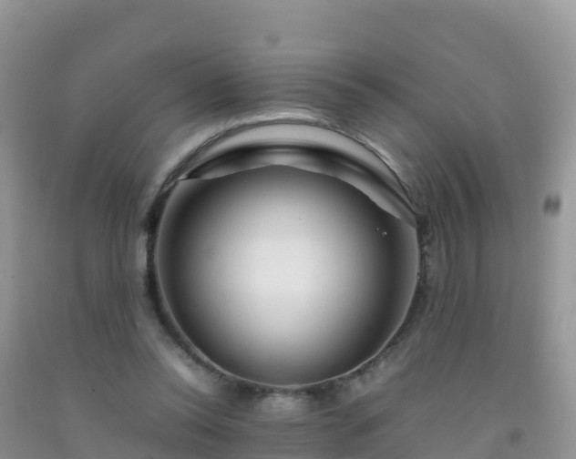 X0000092070350200709191208