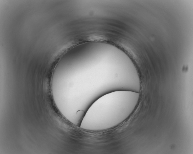X0000092070353200709191208