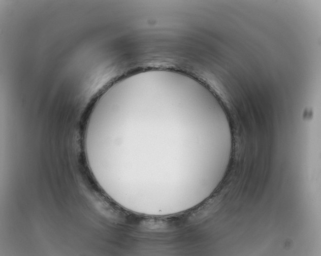 X0000092070354200709191208