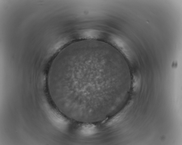 X0000092070355200709191208