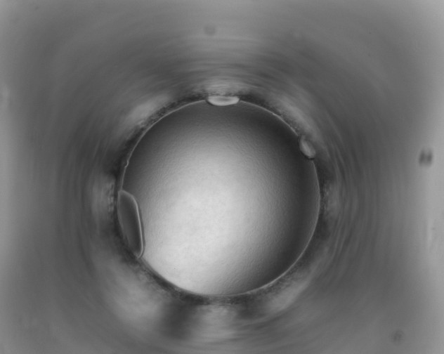X0000092070356200709191208