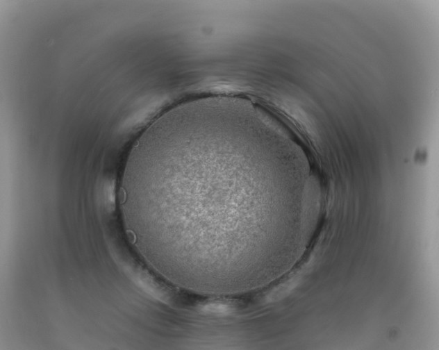 X0000092070358200709191208