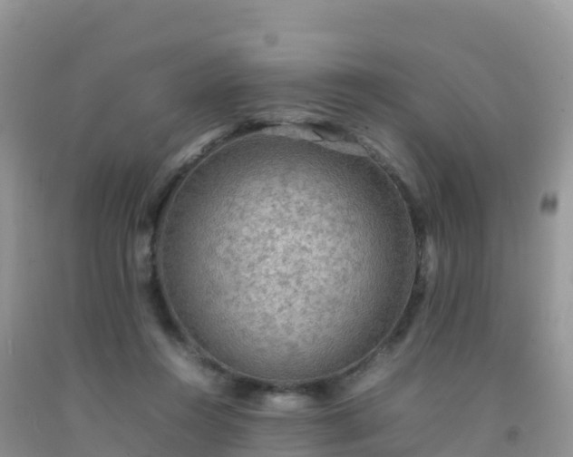 X0000092070360200709191208