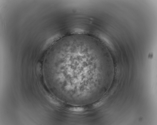 X0000092070361200709191208
