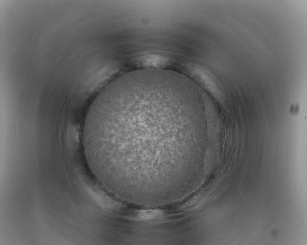 X0000092070363200709191208