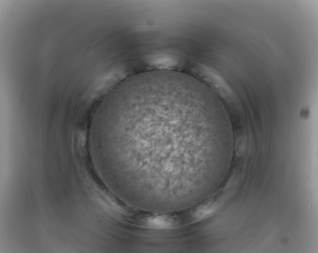 X0000092070365200709191208