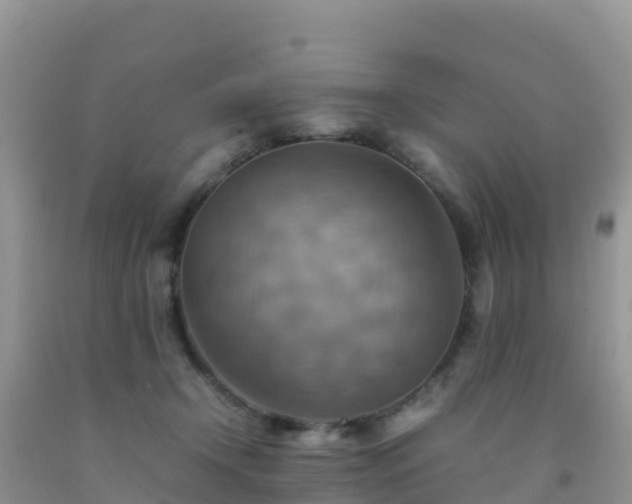 X0000092070366200709191208