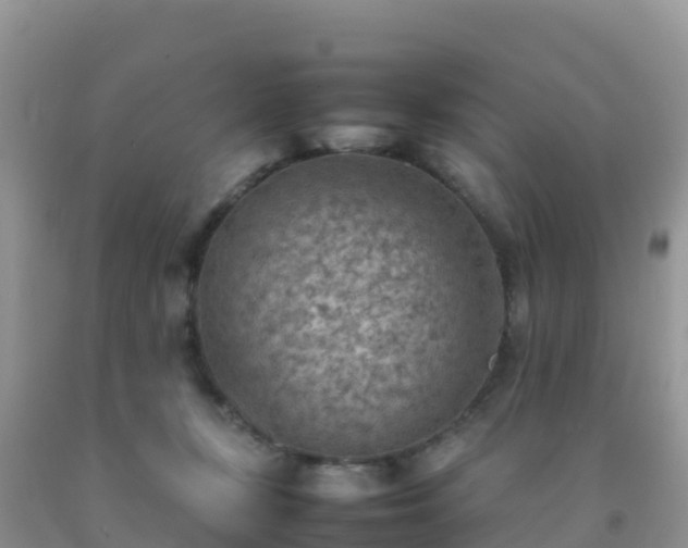 X0000092070367200709191208