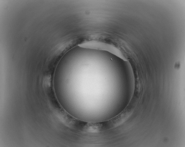 X0000092070368200709191208