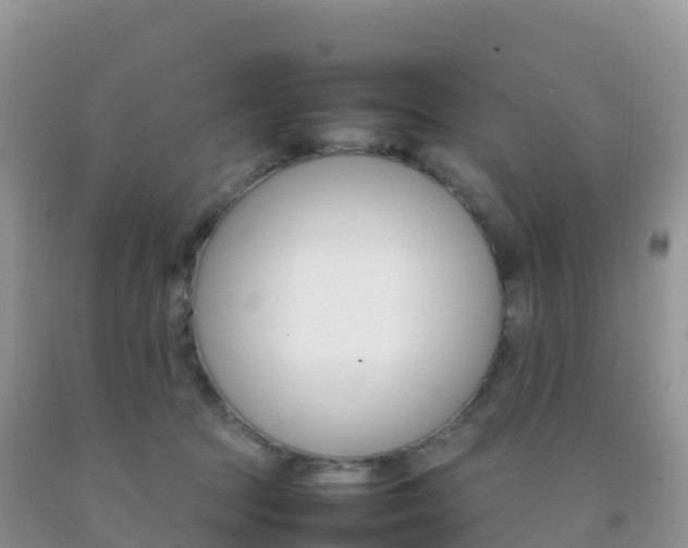 X0000092070369200709191208