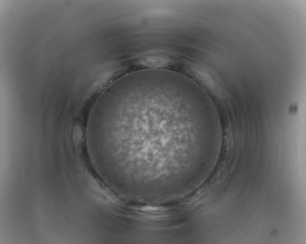 X0000092070371200709191208