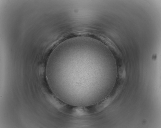 X0000092070372200709191208