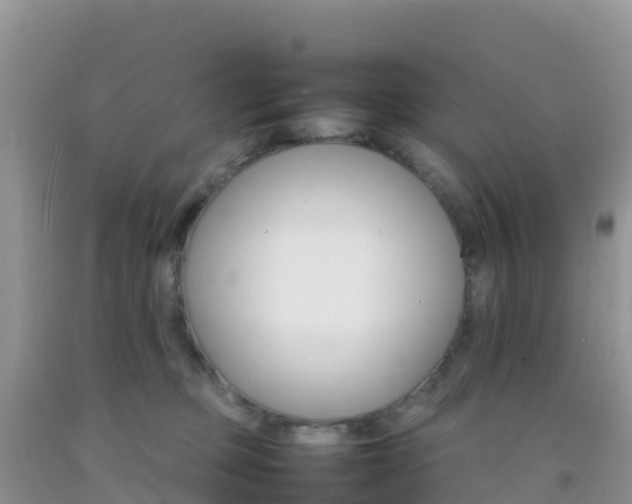 X0000092070373200709191208