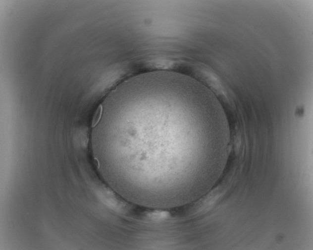 X0000092070374200709191208