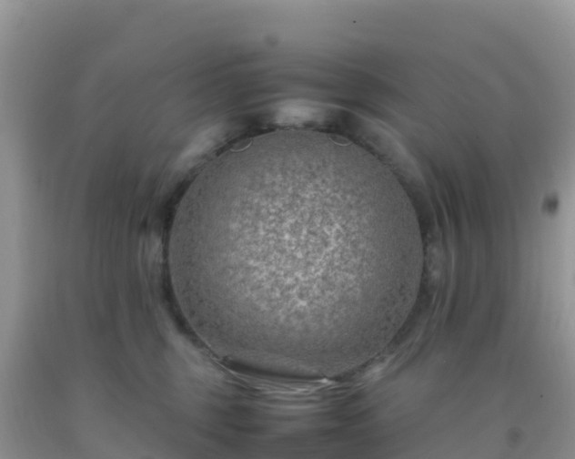 X0000092070375200709191208