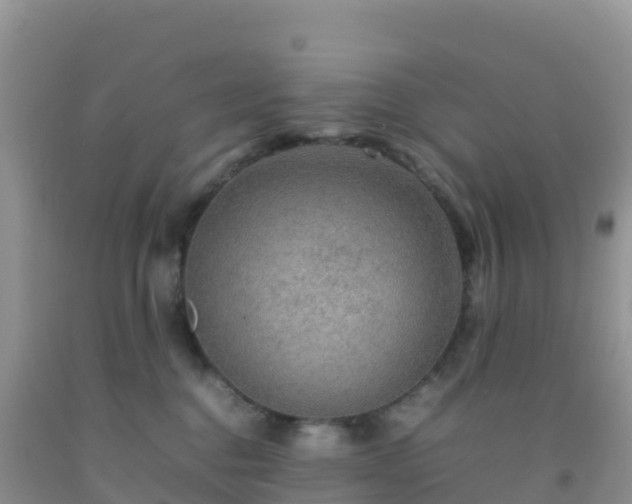 X0000092070376200709191209