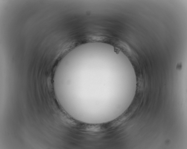X0000092070377200709191209